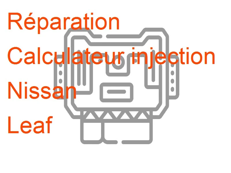 Calculateur injection Nissan Leaf