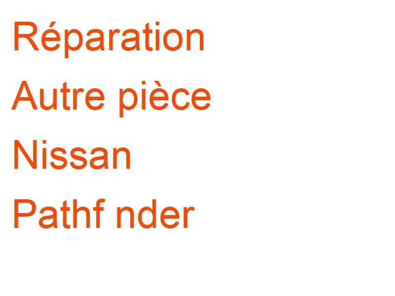 Autre pièce Nissan Pathf nder