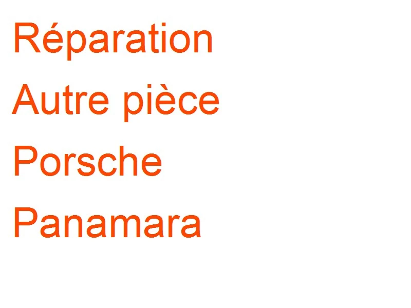 Autre pièce Porsche Panamara