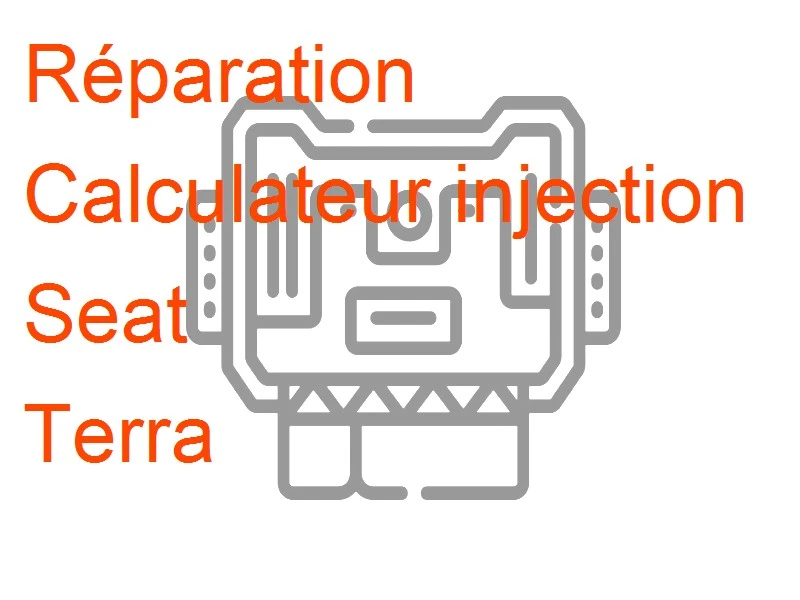 Calculateur injection Seat Terra