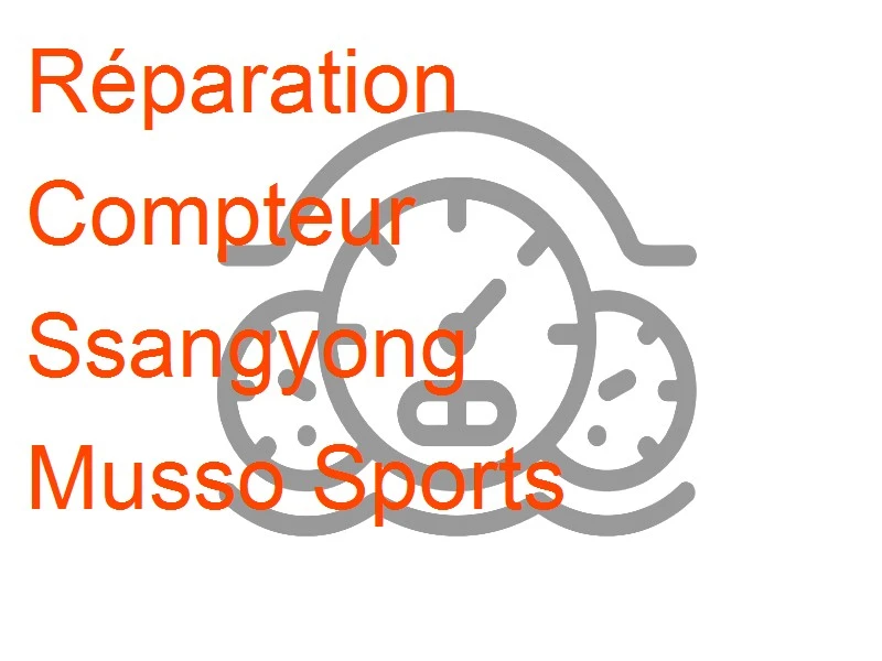 Compteur Ssangyong Musso Sports