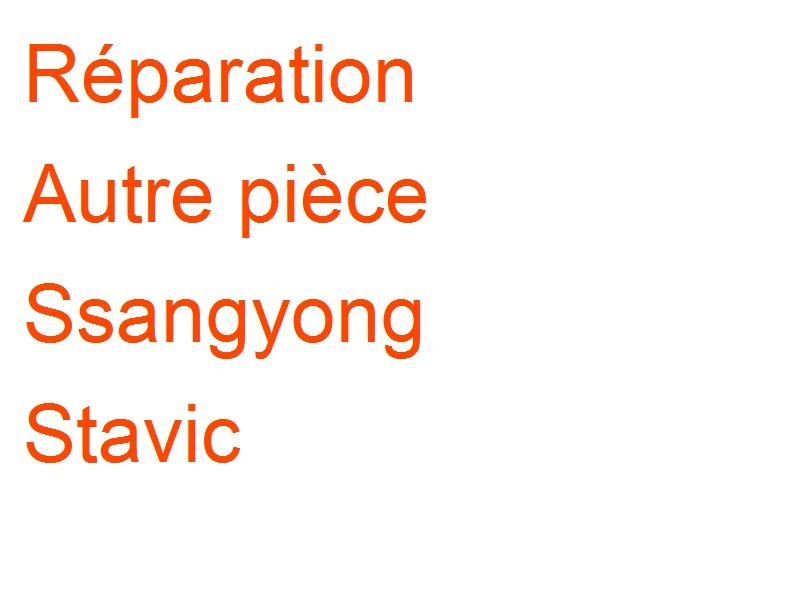 Autre pièce Ssangyong Stavic