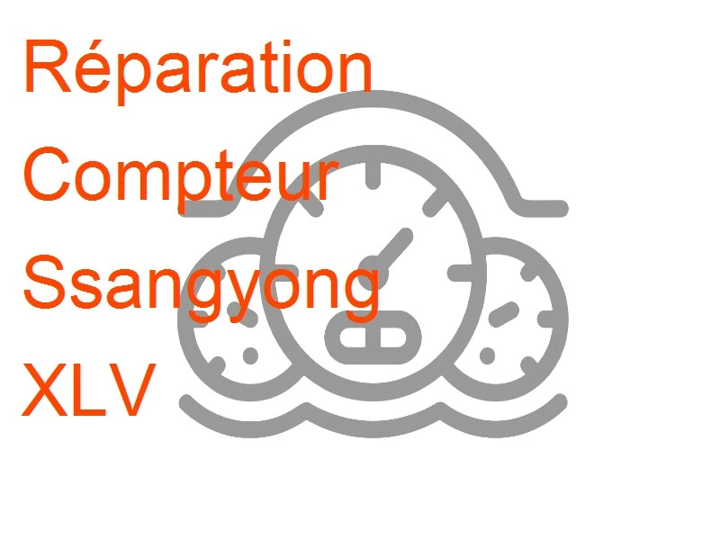 Compteur Ssangyong XLV