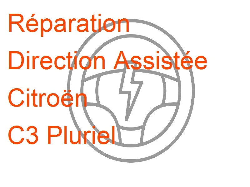 Direction Assistée Citroën C3 Pluriel