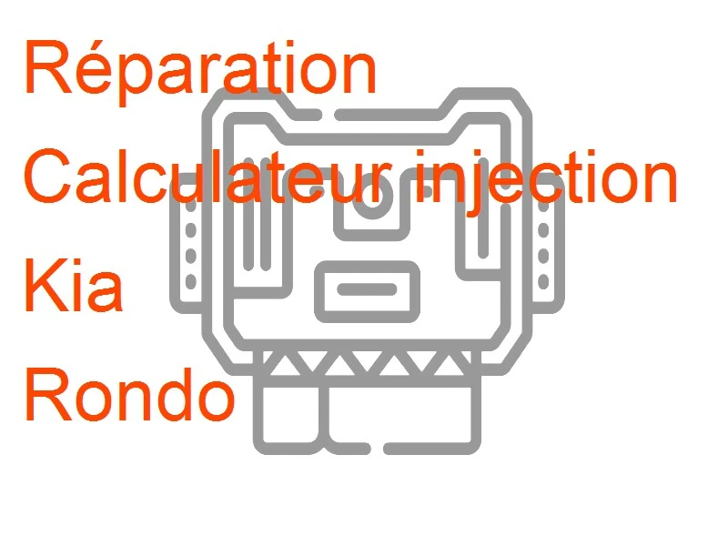 Calculateur injection Kia Rondo