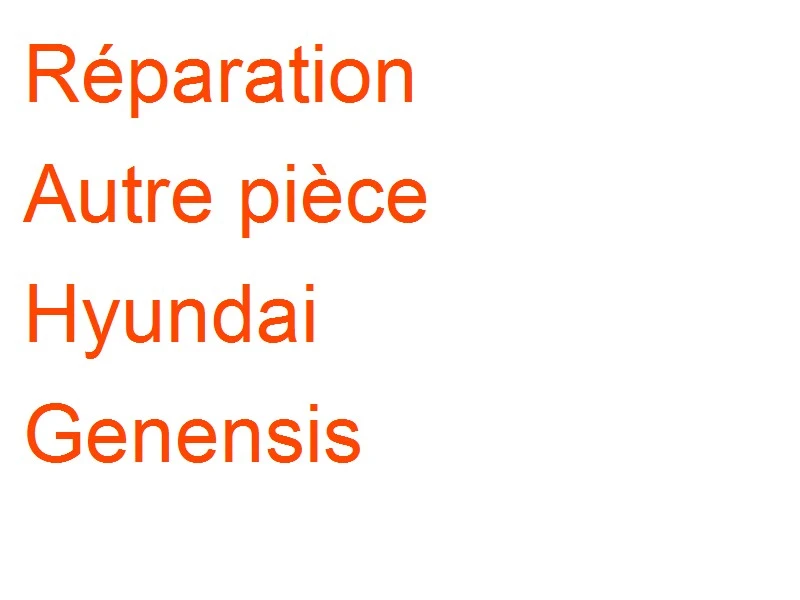 Autre pièce Hyundai Genensis