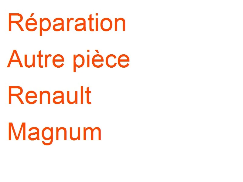 Autre pièce Renault Magnum VDO