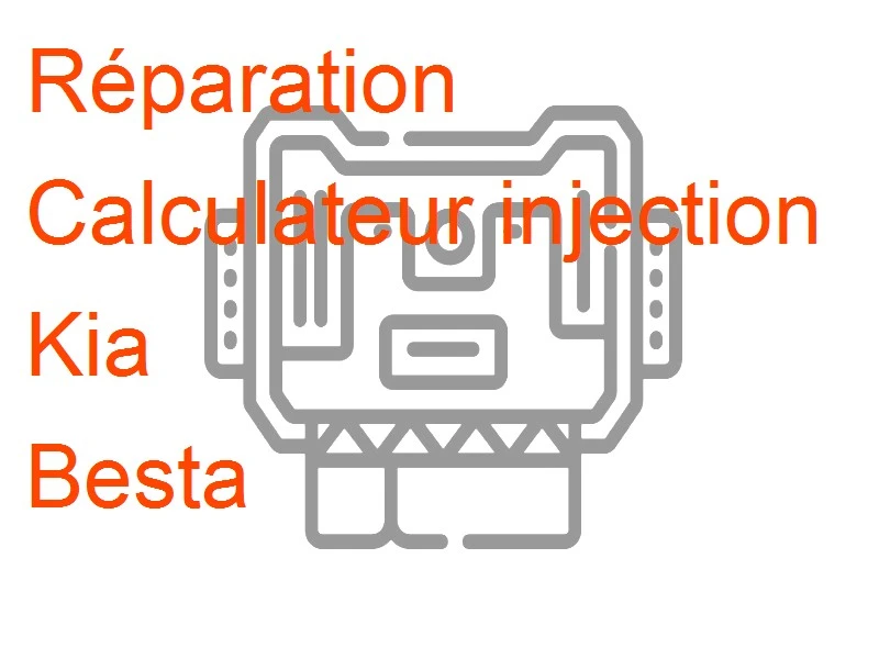 Calculateur injection Kia Besta