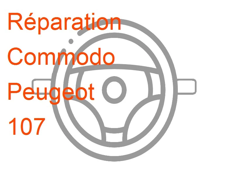 Commodo Peugeot 107