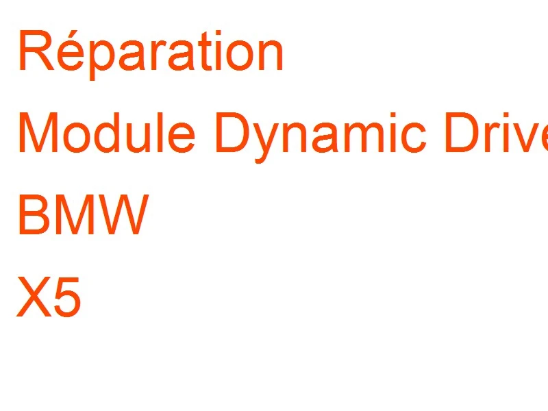 Module Dynamic Drive BMW X5