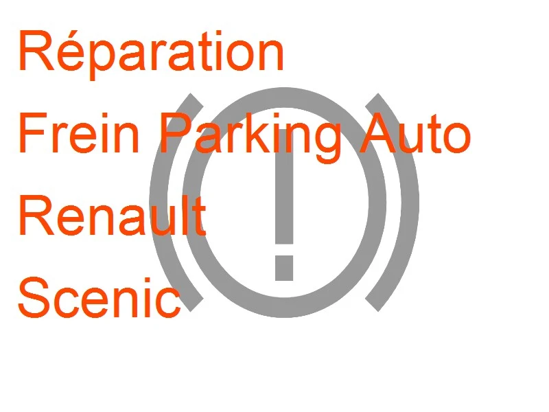 Frein Parking Auto Renault Scenic