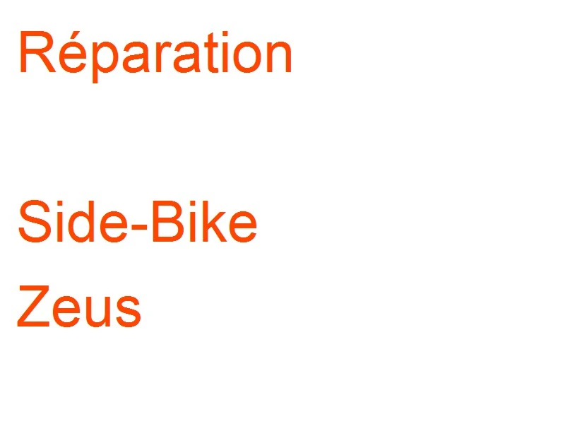 Side-Bike Zeus