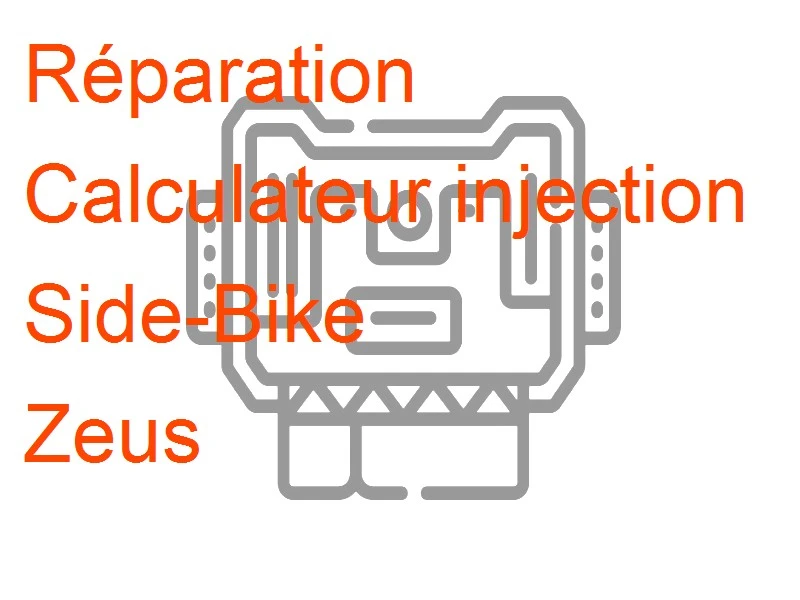 Calculateur injection Side-Bike Zeus