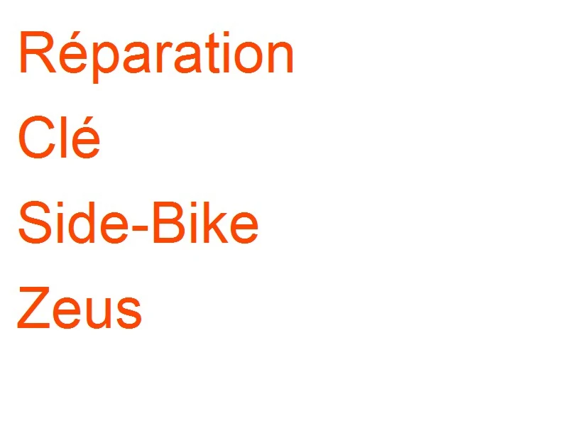 Clé Side-Bike Zeus