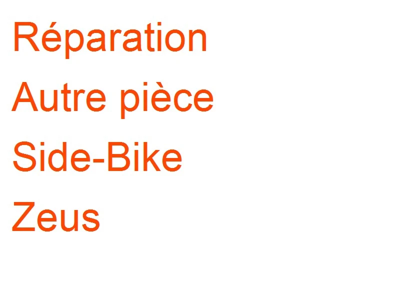 Autre pièce Side-Bike Zeus
