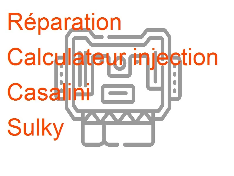 Calculateur injection Casalini Sulky