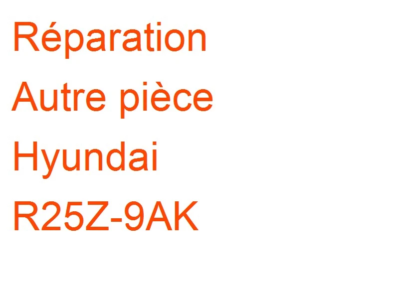 Autre pièce Hyundai R25Z-9AK
