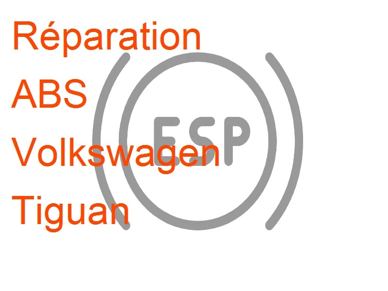 ABS Volkswagen Tiguan TRW EBC 450 ESP