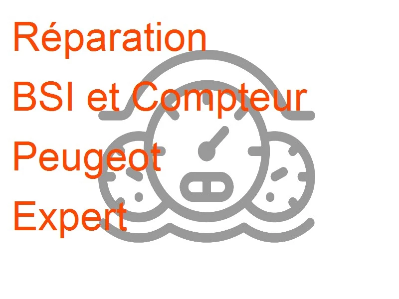 BSI et Compteur Peugeot Expert Valeo BSI 2004 P06
