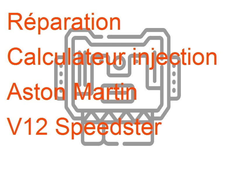 Calculateur injection Aston Martin V12 Speedster