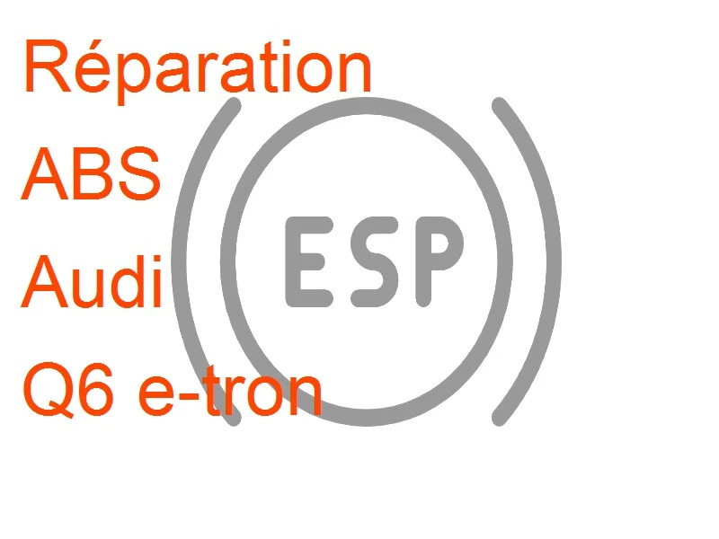 ABS Audi Q6 e-tron