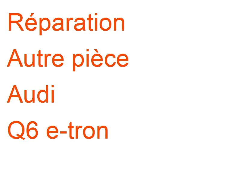 Autre pièce Audi Q6 e-tron