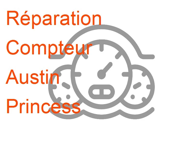 Compteur Austin Princess