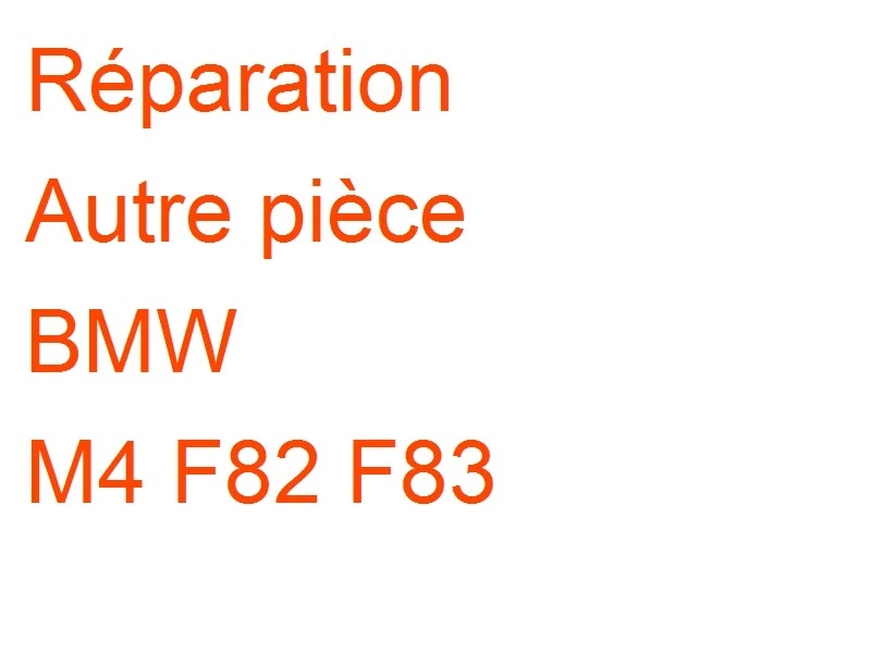 Autre pièce BMW M4 F82 F83