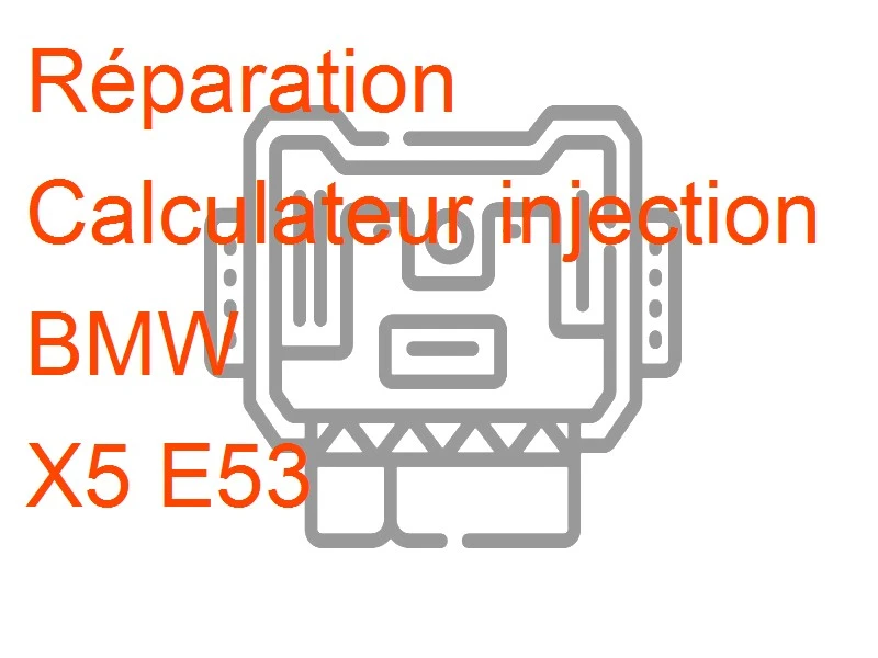 Calculateur injection BMW X5 E53