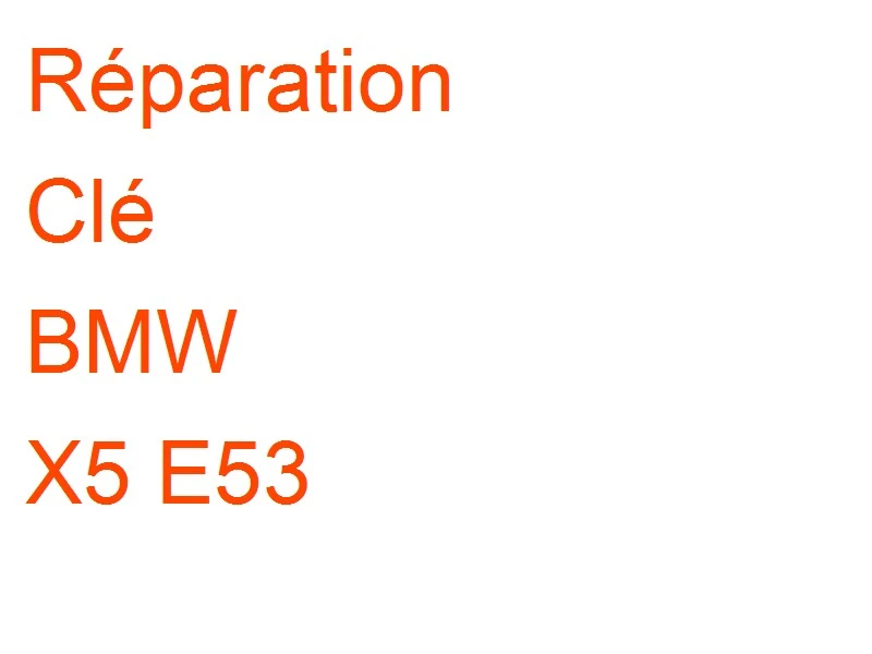 Clé BMW X5 E53