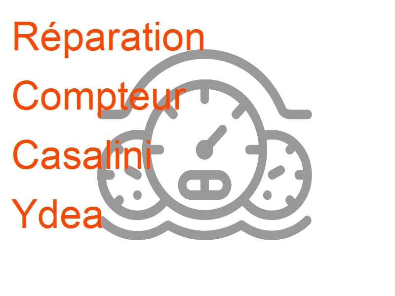 Compteur Casalini Ydea