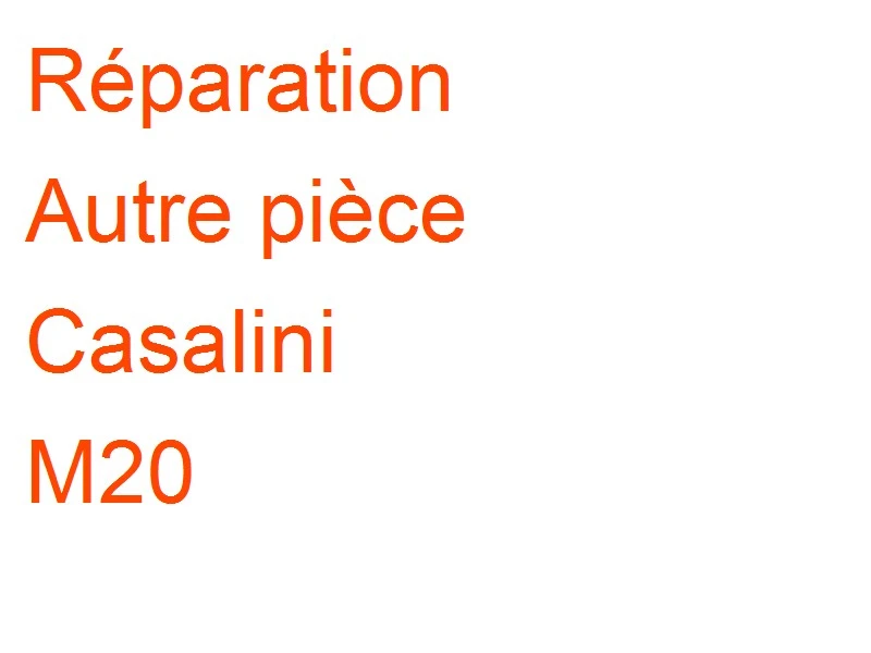 Autre pièce Casalini M20