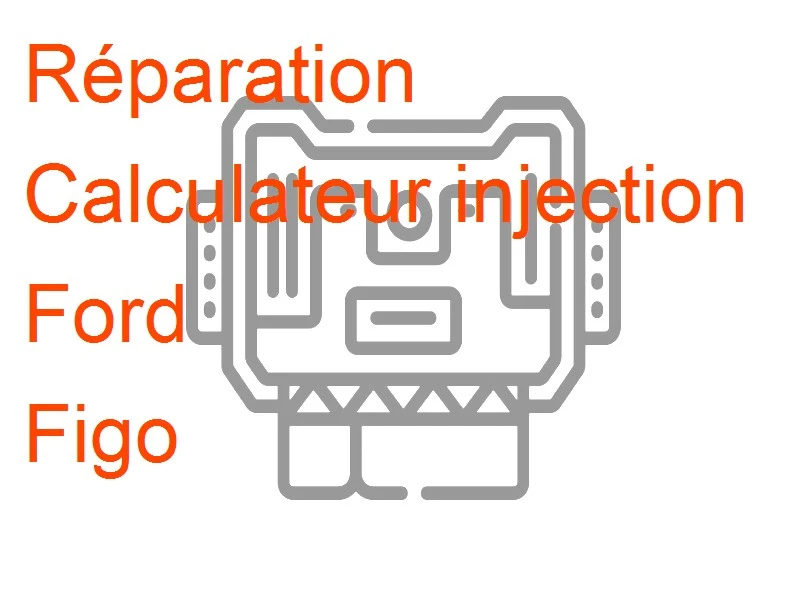 Calculateur injection Ford Figo