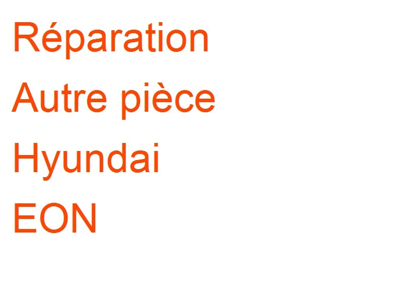 Autre pièce Hyundai EON