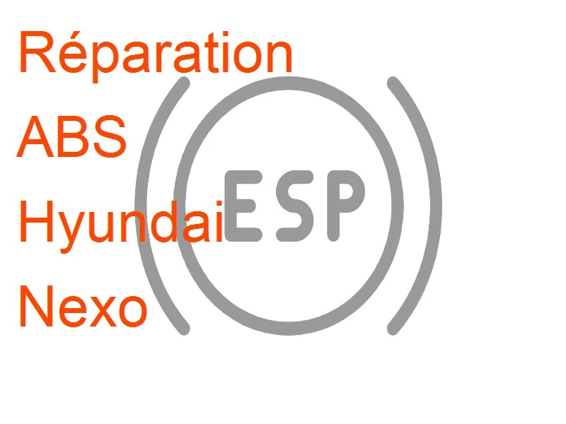 ABS Hyundai Nexo