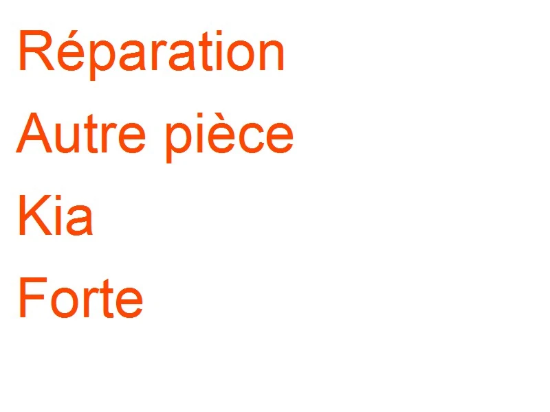 Autre pièce Kia Forte