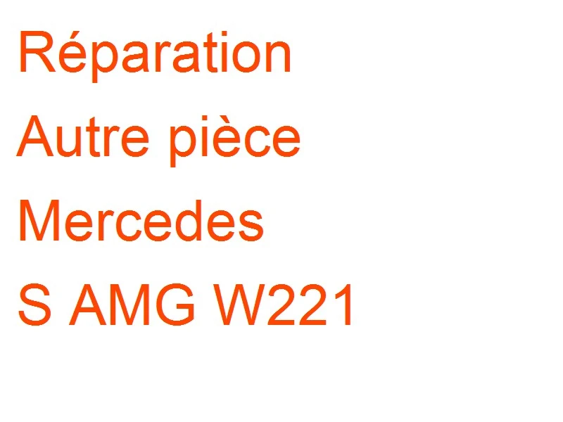 Autre pièce Mercedes S AMG W221