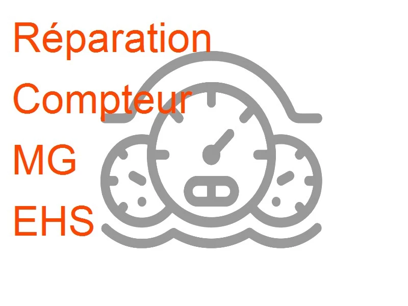 Compteur MG EHS