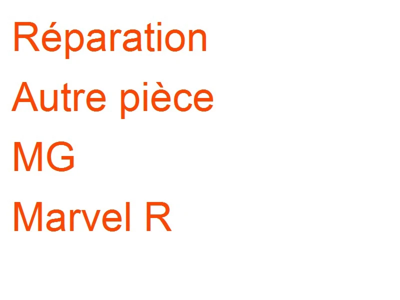 Autre pièce MG Marvel R