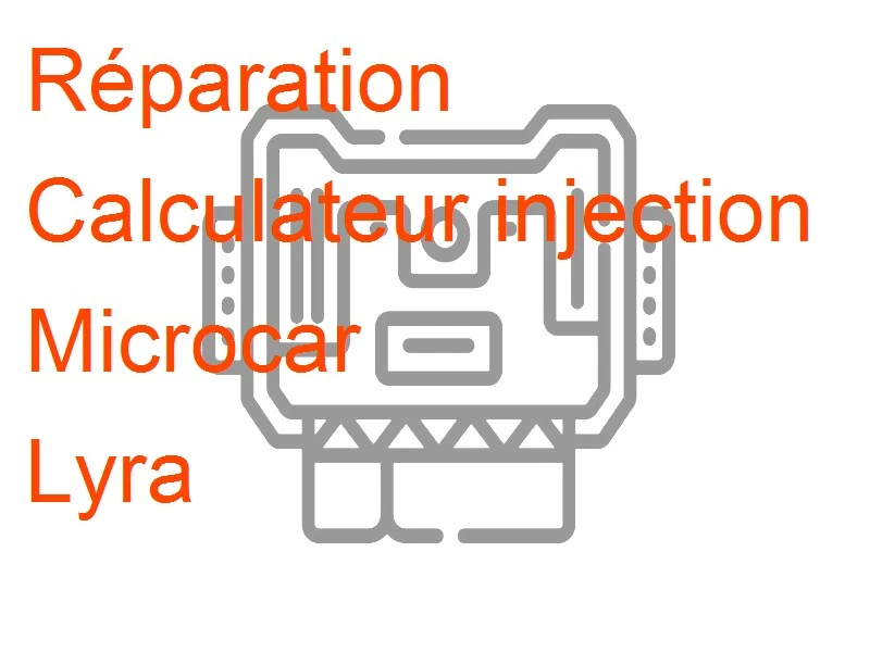 Calculateur injection Microcar Lyra