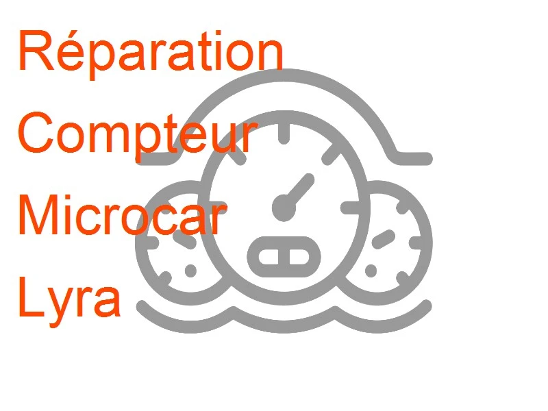 Compteur Microcar Lyra