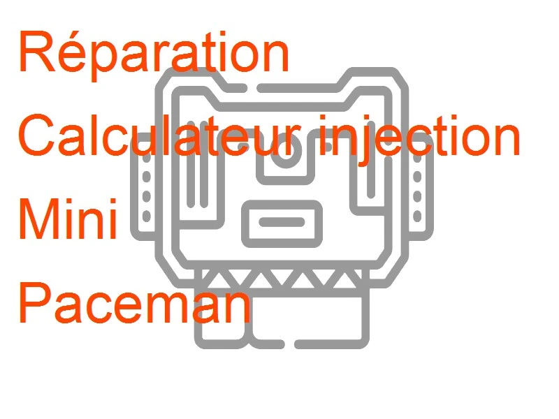 Calculateur injection Mini Paceman
