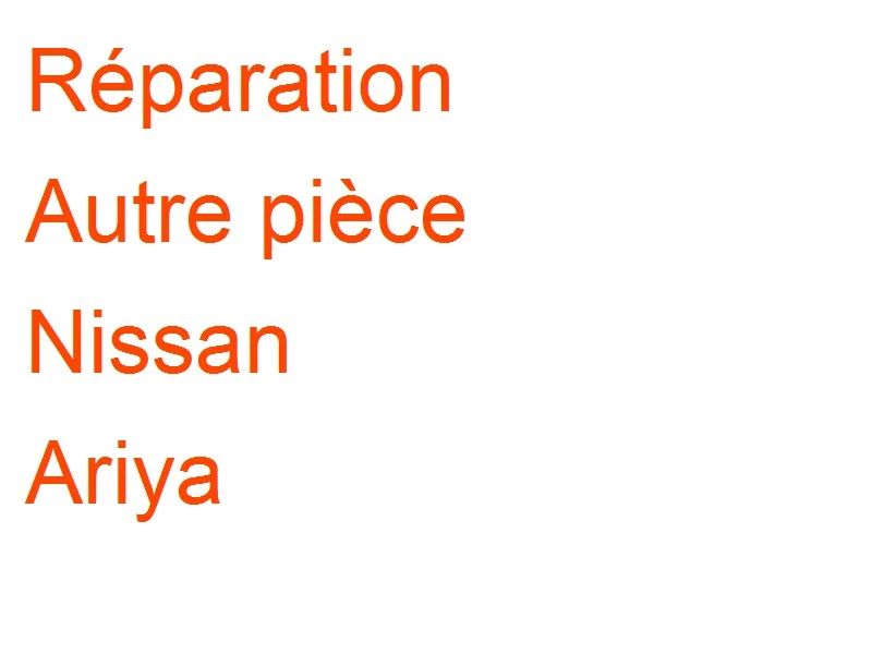 Autre pièce Nissan Ariya
