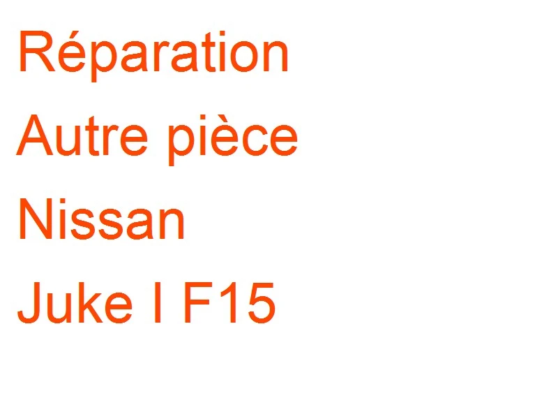 Autre pièce Nissan Juke I F15