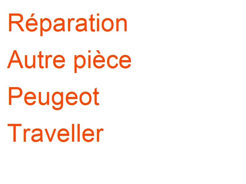 Autre pièce Peugeot Traveller
