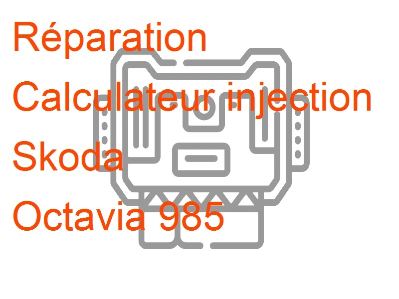 Calculateur injection Skoda Octavia 985