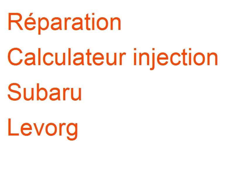 Calculateur injection Subaru Levorg