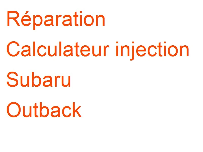 Calculateur injection Subaru Outback